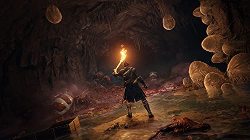 Elden Ring - PlayStation 5 - Image 10